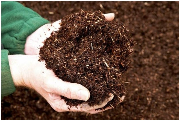 LÀM SAO CHO ĐẤT LUÔN MỀM, TƠI XỐP? – Công nghệ xanh 4.0