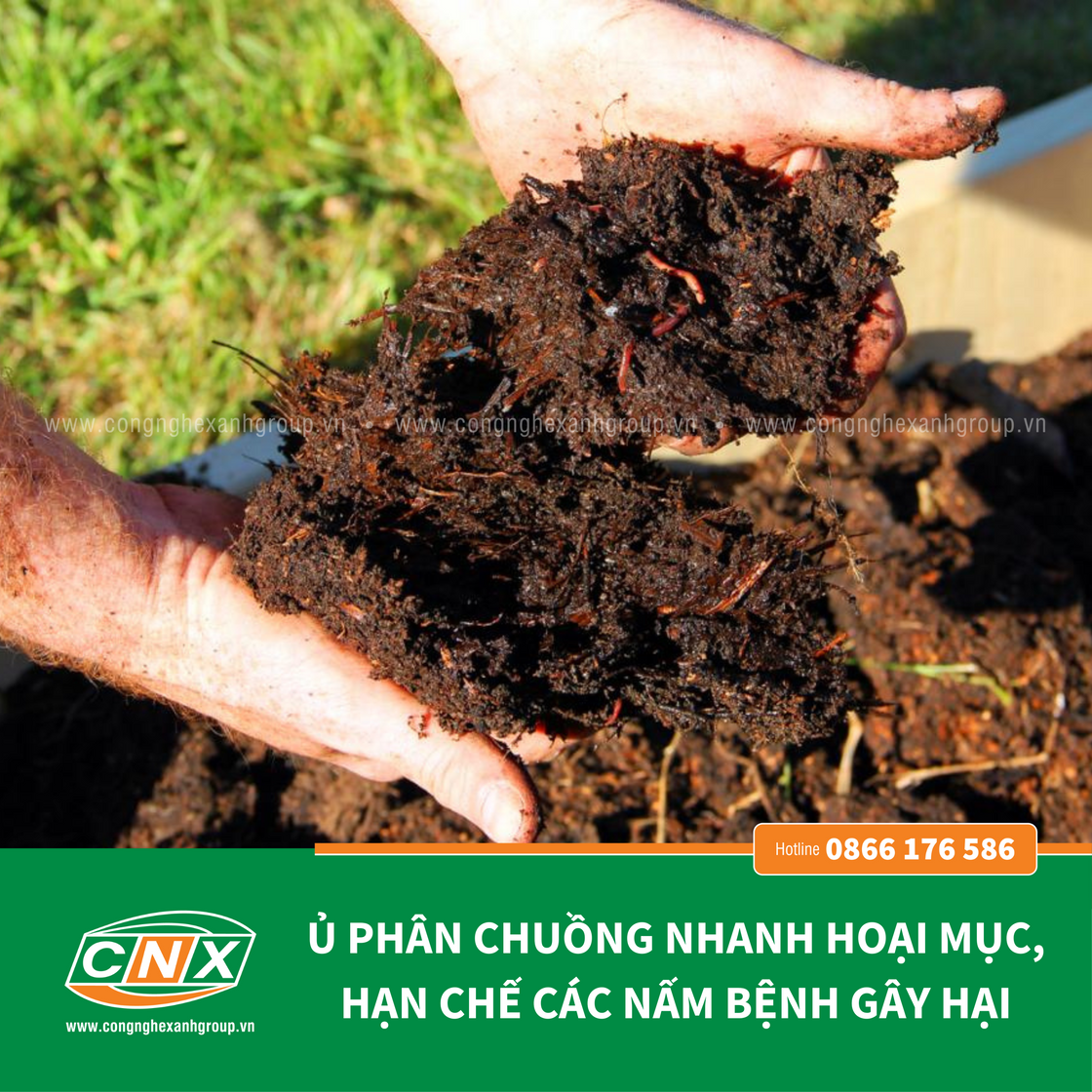 TRICHODERMA Cải tạo đất, ủ phân chuồng, rơm rạ – Công nghệ xanh 4.0