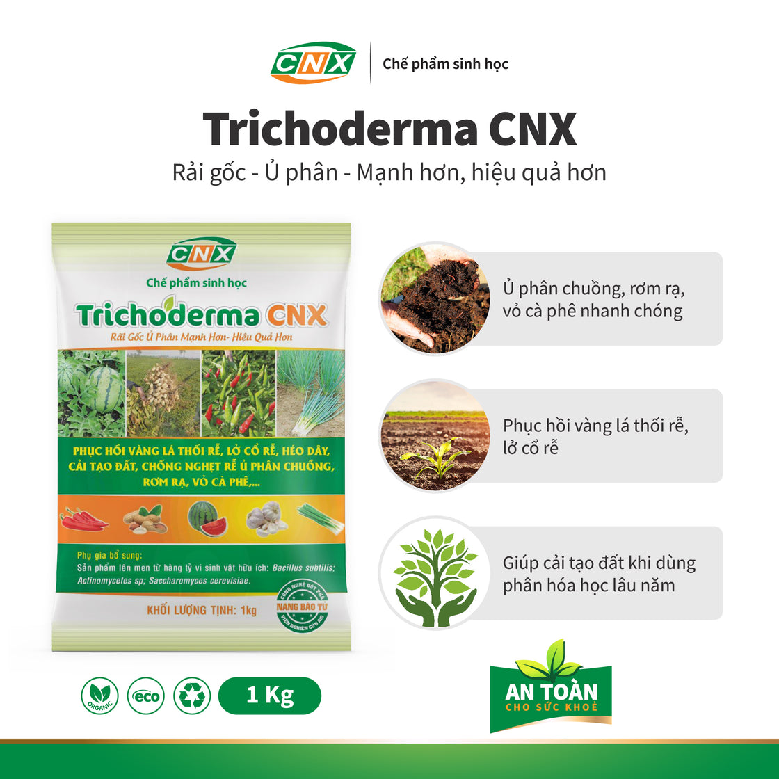 TRICHODERMA Cải tạo đất, ủ phân chuồng, rơm rạ