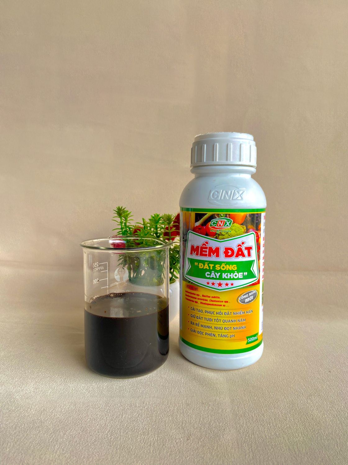 MỀM ĐẤT - Cải tạo phục hồi đất