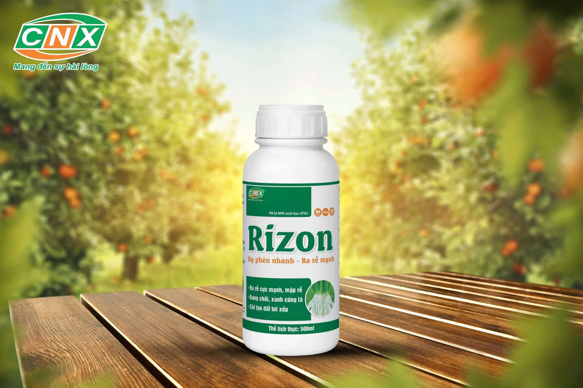 Rizon - Hạ phèn nhanh, ra rễ mạnh – Công nghệ xanh 4.0