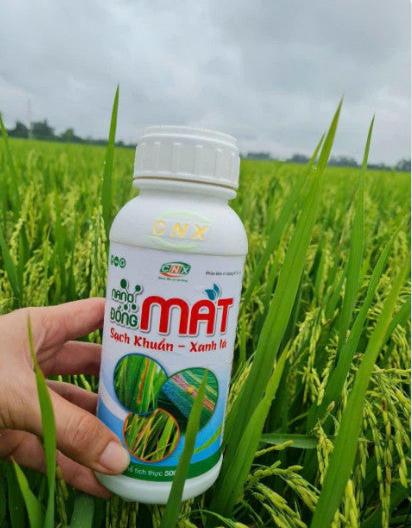 NANO ĐỒNG MAT - Khử khuẩn, phòng nấm bệnh trên lúa