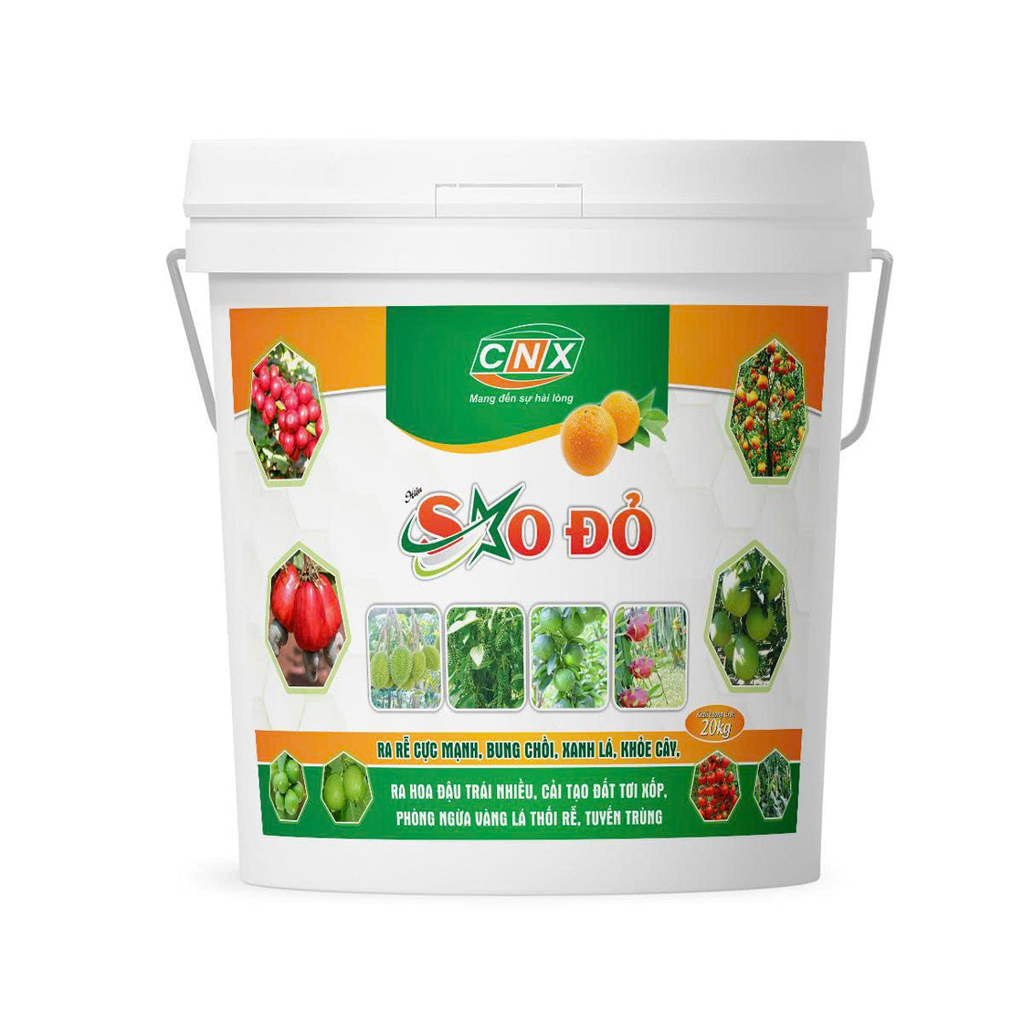 SAO ĐỎ - Giúp phát riển bộ rễ cực mạnh, bung chồi nhanh