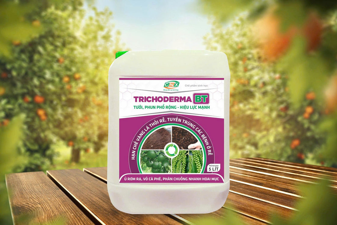 TRICHODERMA BT (LỎNG) - Phân hủy bã, xác thực vật cực mạnh