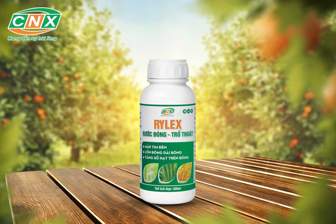 Rylex - Rước đòng trổ thoát đều – Công nghệ xanh 4.0