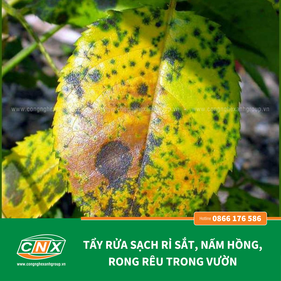 NANO ĐỒNG MAT - Đánh bật rong rêu nấm khuẩn – Công nghệ xanh 4.0