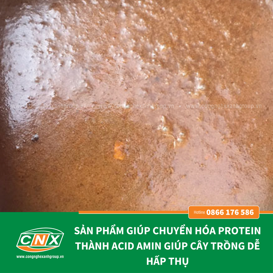 MEN Ủ CÁ - Phân hủy, lên men nhanh các protein