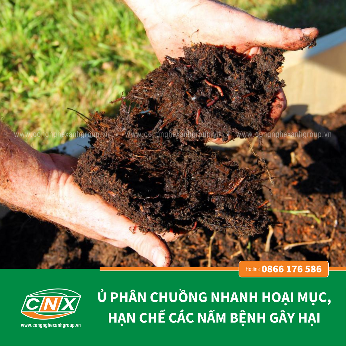 TRICHODERMA - CNX cải tạo đất, phục hồi đất bị thoái hóa