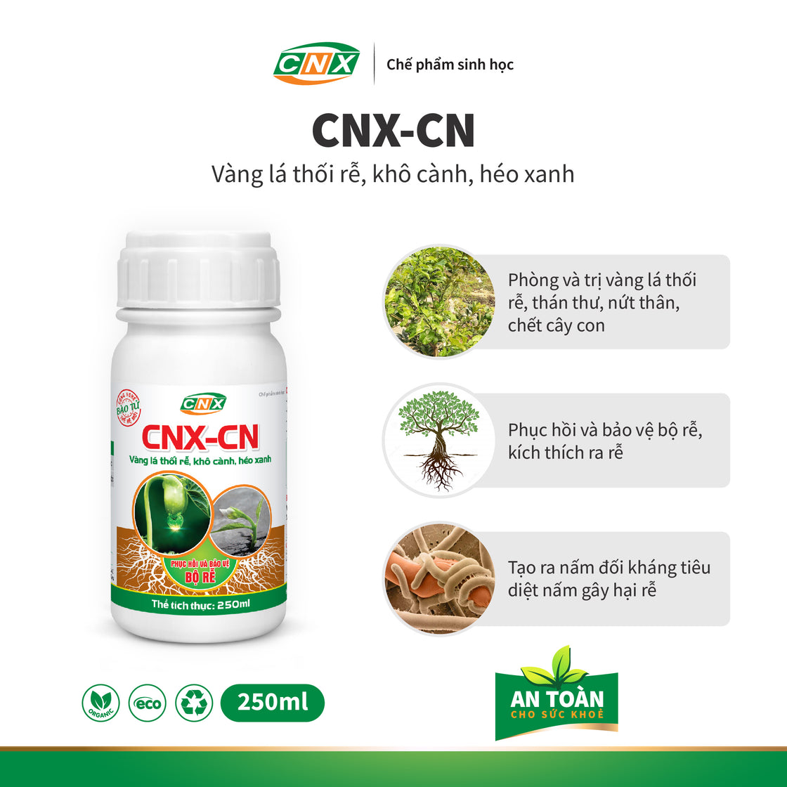 CNX - CN Phòng và trị vàng lá thối rễ