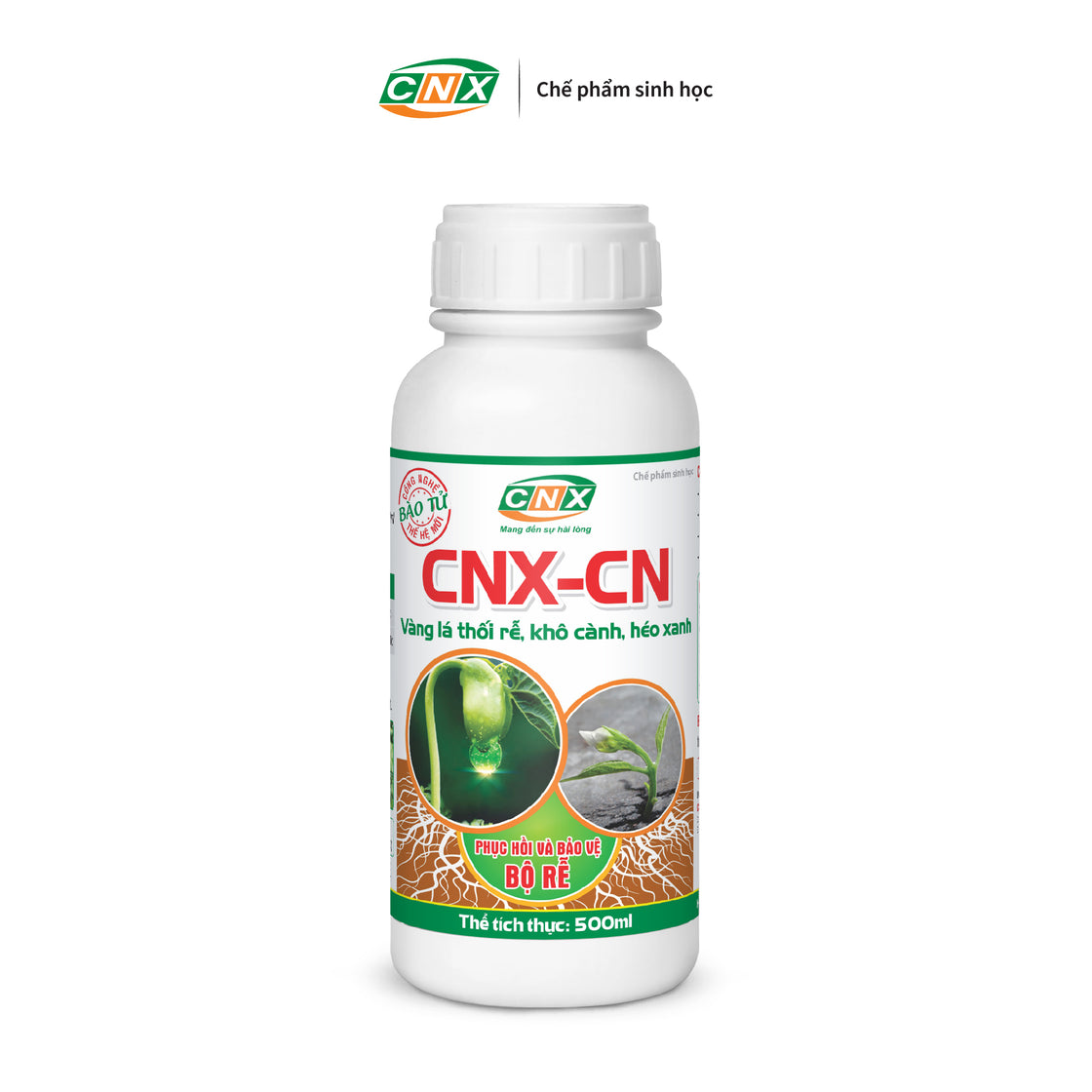 CNX - CN Phòng và trị vàng lá thối rễ