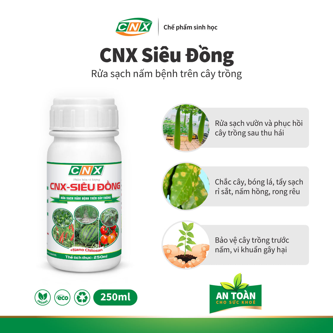 CNX SIÊU ĐỒNG - Bảo vệ cây trồng phòng nấm