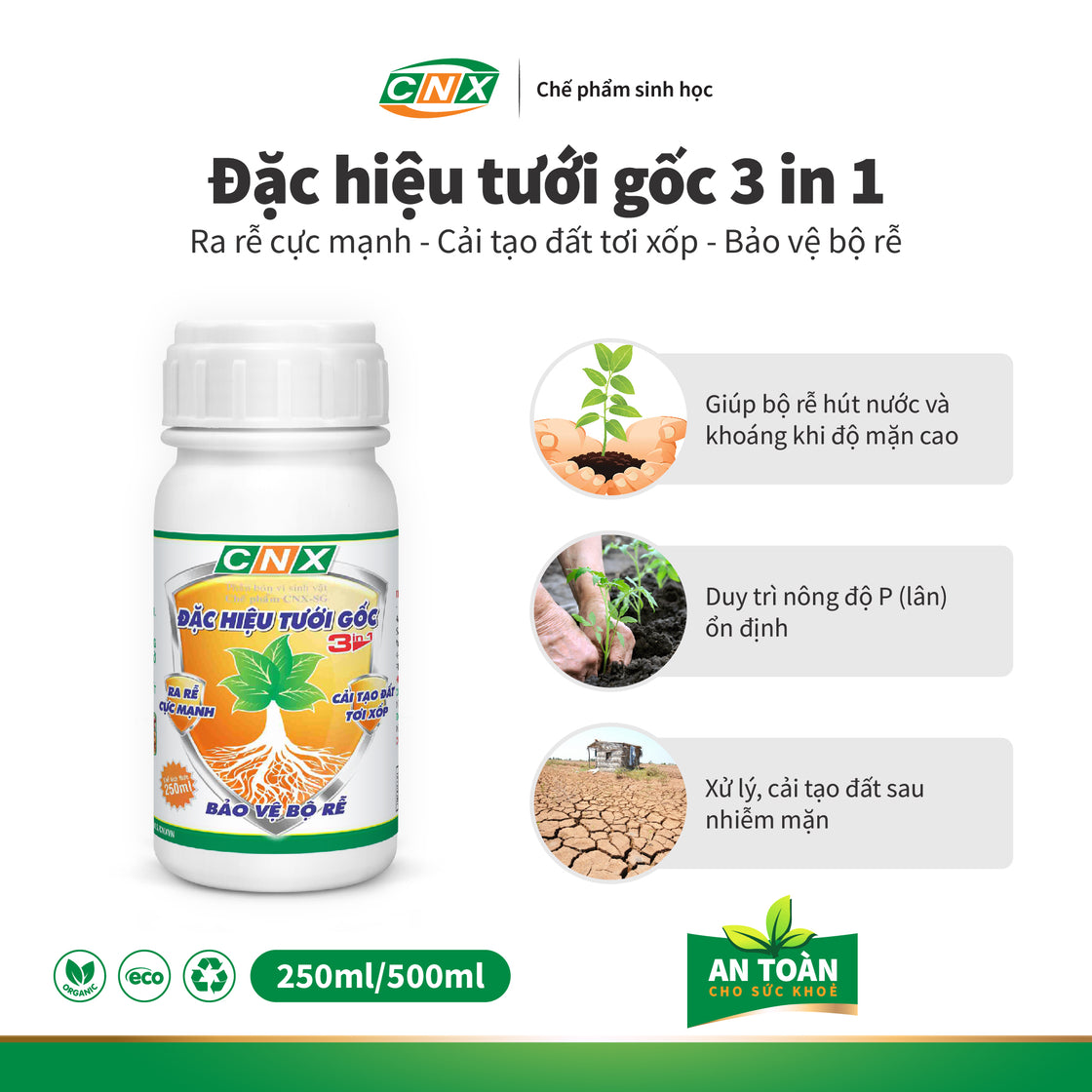 TƯỚI GỐC - 3 IN 1 phòng bệnh thối rễ ở cây trồng