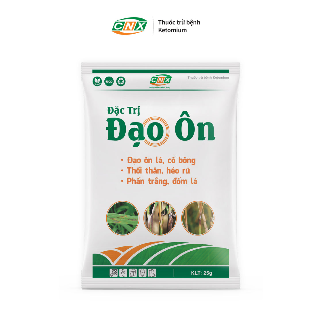 ĐẠO ÔN - CNX - PHÒNG VÀ ĐẶC TRỊ ĐẠO ÔN LÁ