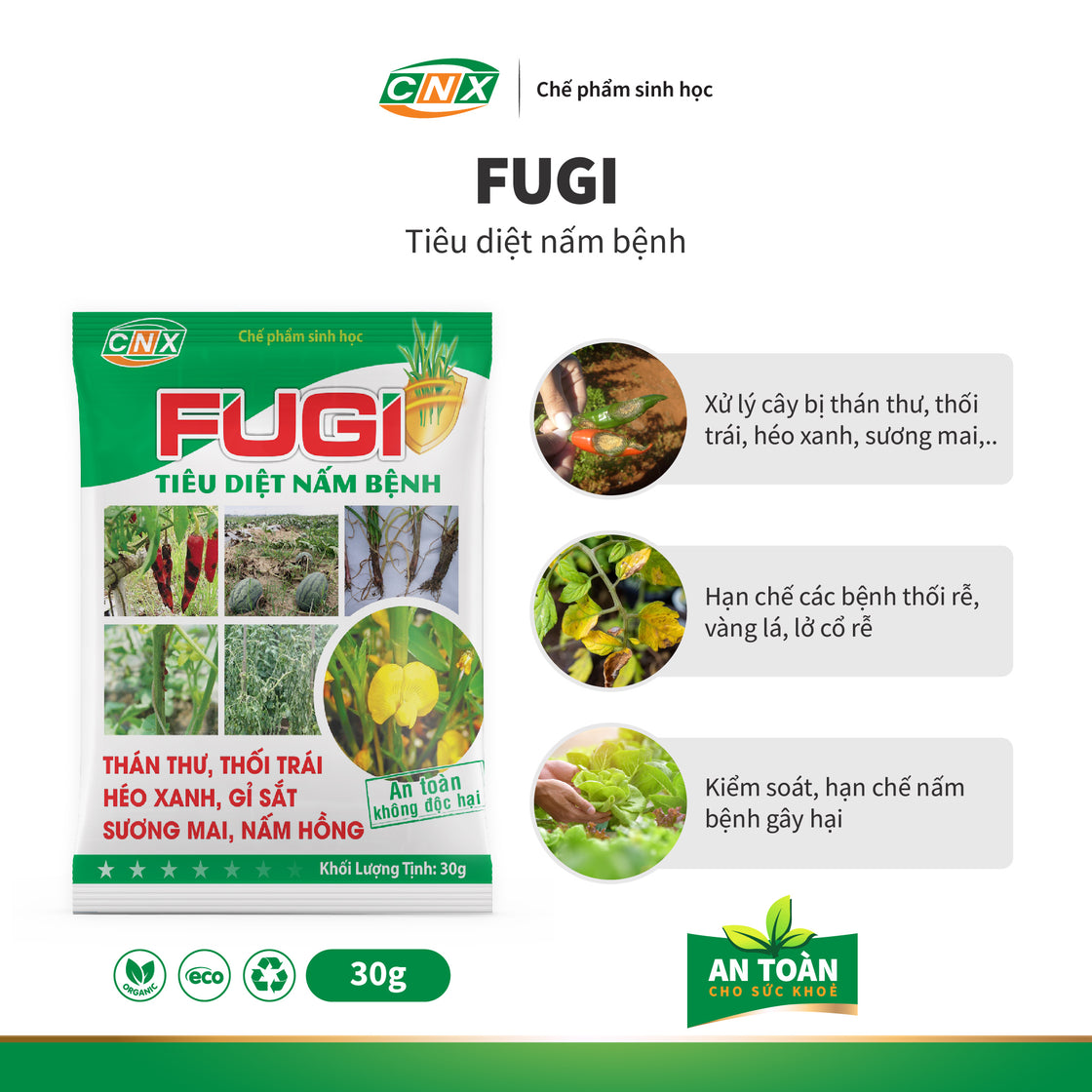 FUGI - Phòng trừ bệnh thán thư, thối trái