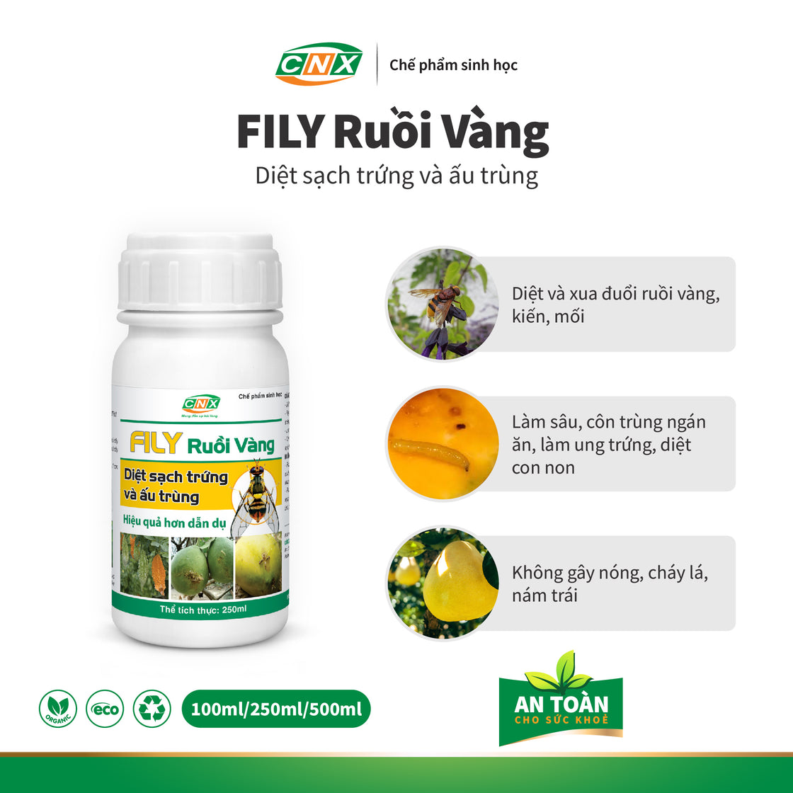 FILY RUỒI VÀNG - Thuốc diệt ruồi vàng triệt để