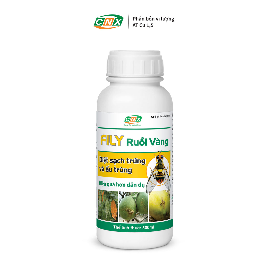 FILY RUỒI VÀNG - Thuốc diệt ruồi vàng triệt để