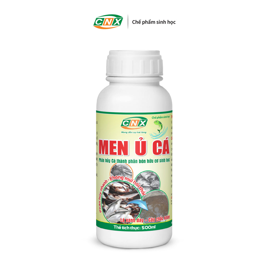 MEN Ủ CÁ - Phân hủy, lên men nhanh các protein