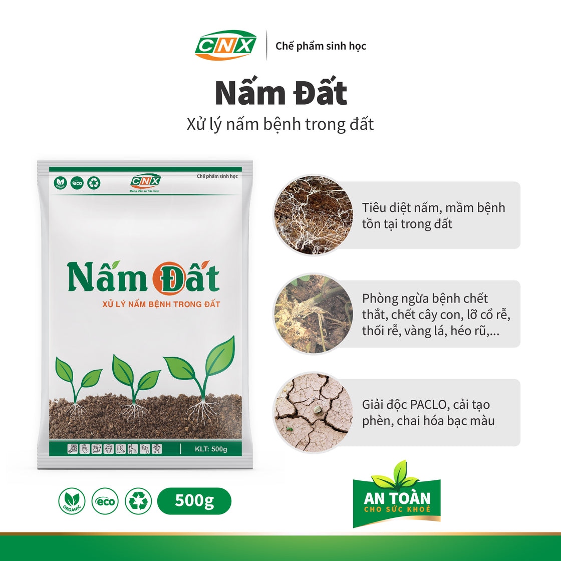 NẤM ĐẤT Tiêu diệt nấm đất bảo vệ cây trồng