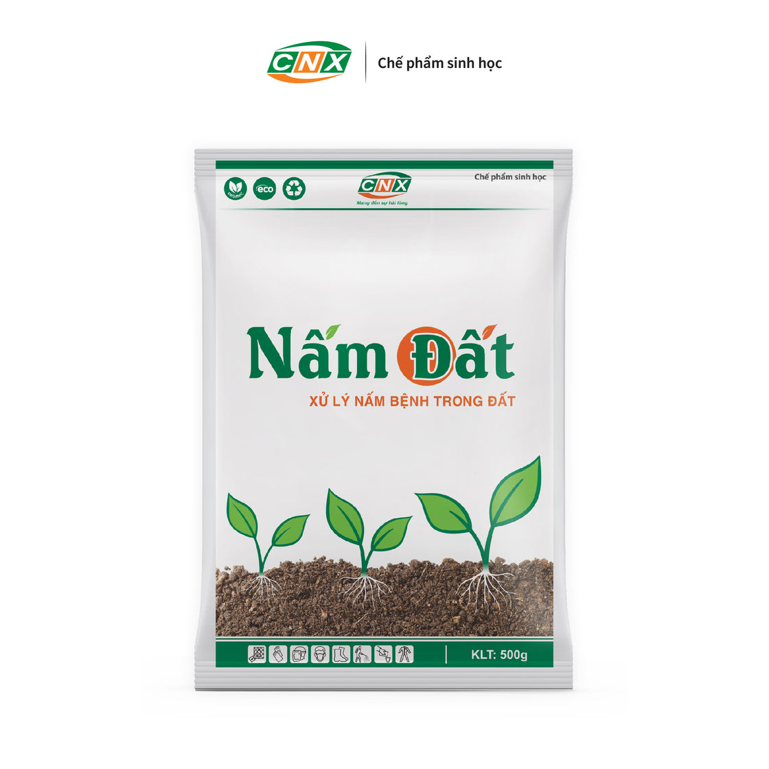 NẤM ĐẤT Tiêu diệt nấm đất bảo vệ cây trồng