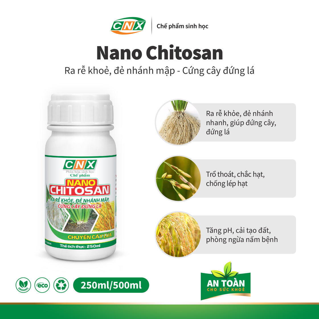 NANO CHITOSAN - Kích thích cây trồng ra rễ đẻ nhánh tăng chồi