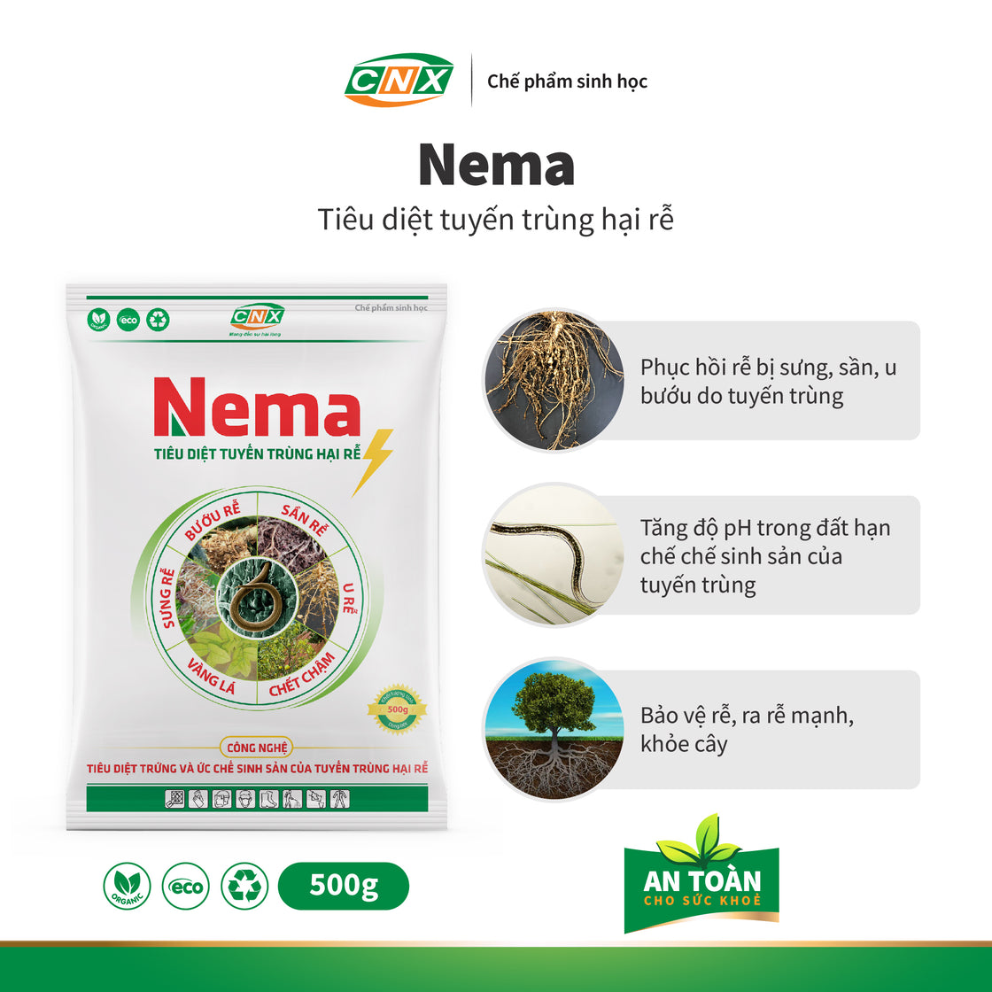 NEMA - Phục hồi rễ cho cây trồng