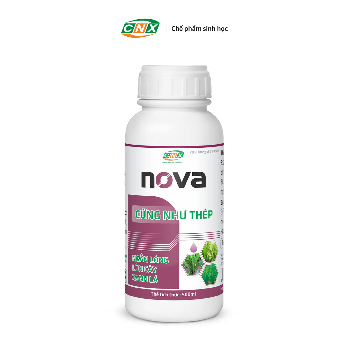 NOVA - Mập rễ Cứng cây đứng lá chắc hạt