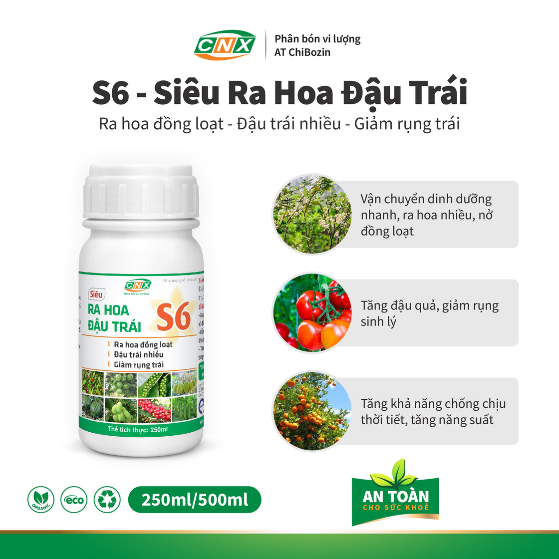 S6 giúp cây trồng ra hoa nhiều, nở đồng loạt