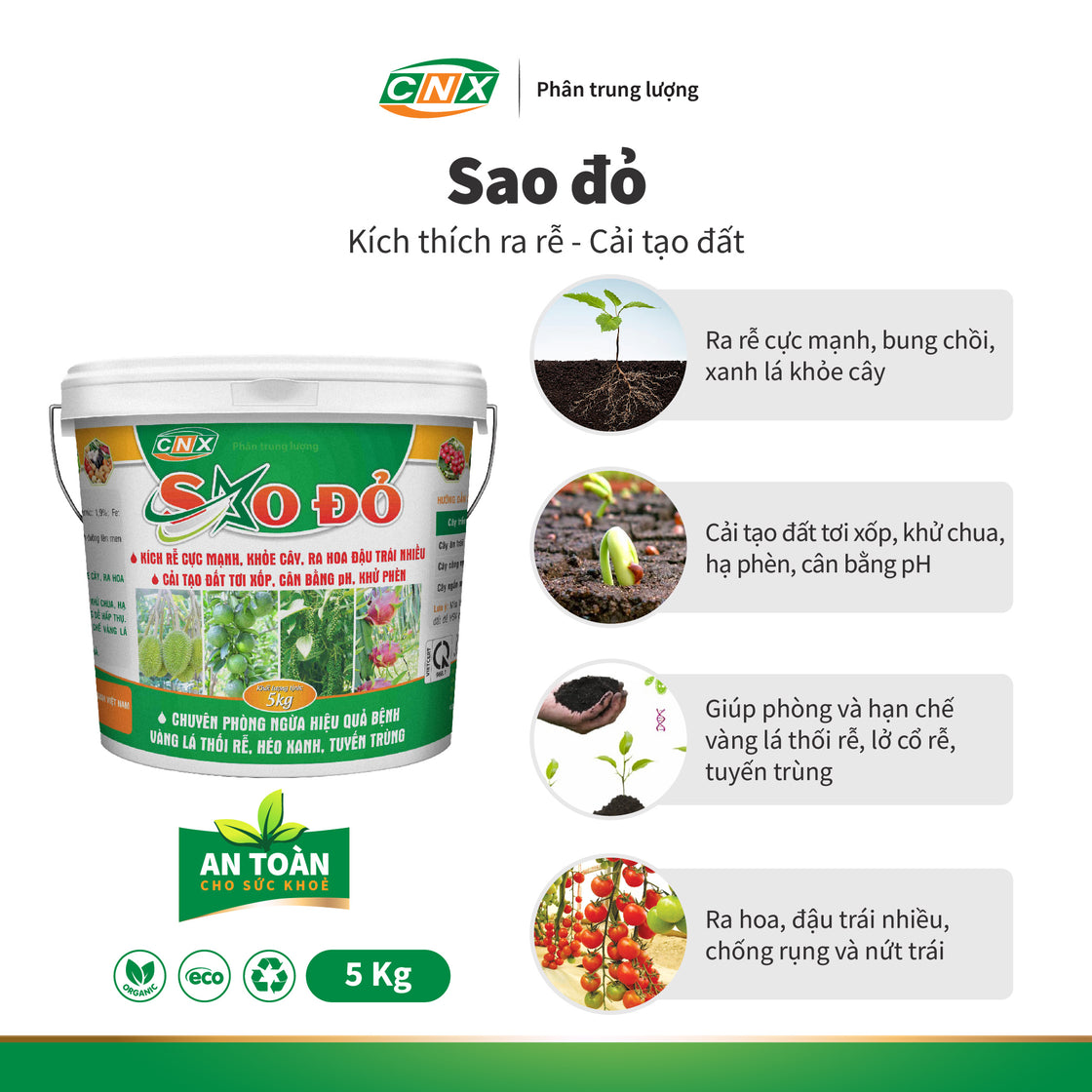 SAO ĐỎ - Giúp phát riển bộ rễ cực mạnh, bung chồi nhanh