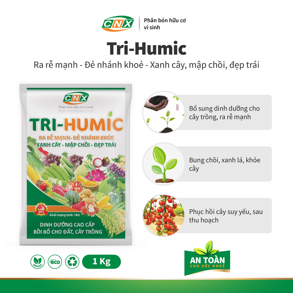 TRI - HUMIC tăng khả năng đẻ nhánh chắc hạt