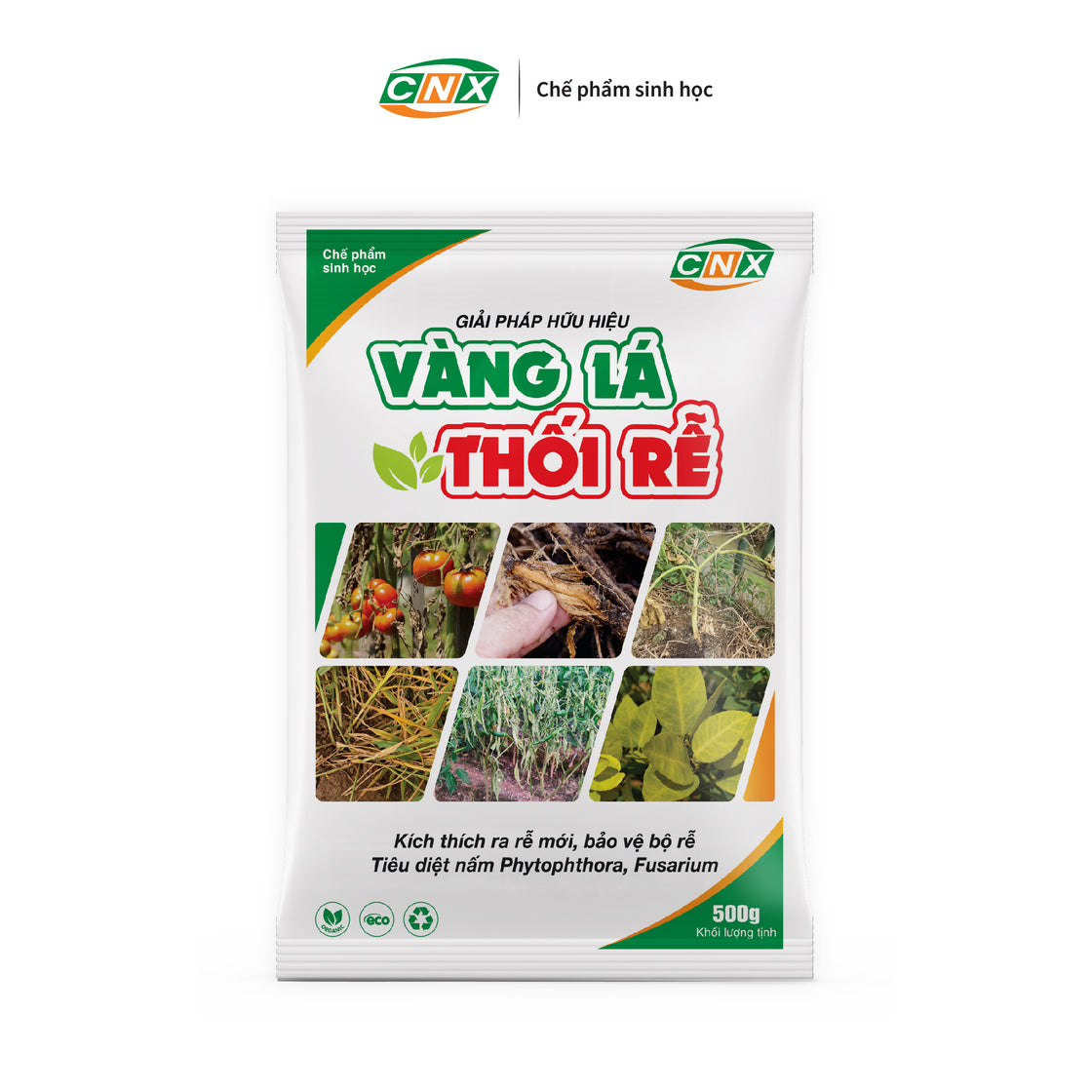 VÀNG LÁ THỐI RỄ - THUỐC ĐẶC TRỊ BỆNH